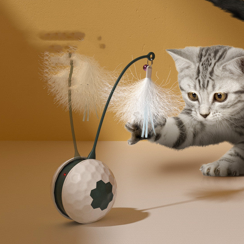 Enjoying Electric Intelligent Bite Resistant Cat