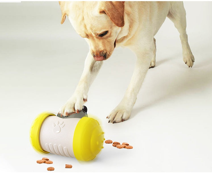 Pet Products Supplies Accessories