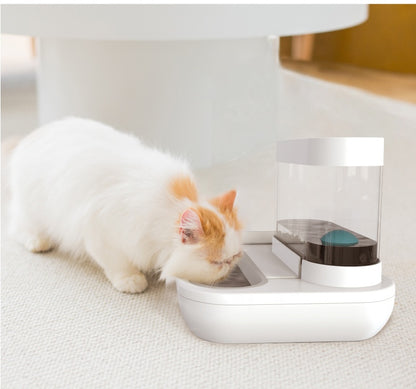 4 Style Pet Cat Bowl Dog for Cats 