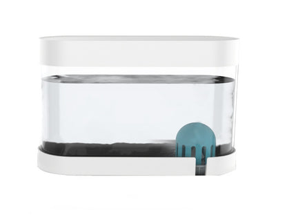 4 Style Pet Cat Bowl Dog for Cats 