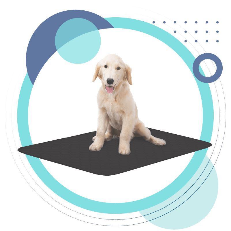 Pets Earthing Mat - Cats &amp; Dogs